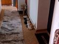 2-бөлмелі пәтер · 48 м² · 4/5 қабат, Сарыарка 9/6 9/6, бағасы: 150 000 ₸ в Кокшетау — фото 3