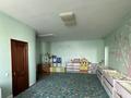 Отдельный дом · 10 комнат · 800 м² · 12 сот., мкр Шубар, Темирказык 58 за 371 млн ₸ в Астане, Есильский р-н — фото 7