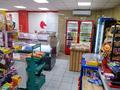 Магазины и бутики · 132 м² за 900 000 ₸ в Астане, Сарыарка р-н