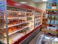 Магазины и бутики · 132 м² за 900 000 ₸ в Астане, Сарыарка р-н — фото 7