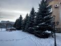 Отдельный дом · 7 комнат · 712 м² · 14 сот., 5-я Челябинская 12 за 230 млн 〒 в Костанае — фото 10