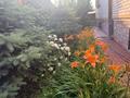 Отдельный дом · 9 комнат · 300 м² · 4 сот., Елебекова — Район Церкви за 160 млн ₸ в Семее — фото 44