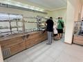 Общепит · 270 м² за 120 млн ₸ в Усть-Каменогорске — фото 11
