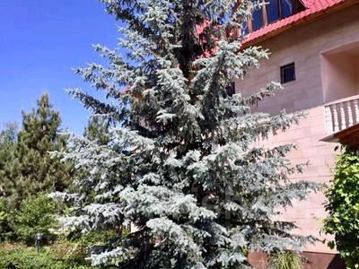 Отдельный дом · 14 комнат · 585 м² · 50 сот., Чимбулак, Чимбулак ул Макатаева 82 за 200 млн 〒 в Алматинской обл.