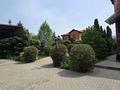 Жеке үй · 12 бөлме · 850 м² · 85 жүзд., Спортивная, бағасы: 390 млн ₸ в Долане — фото 6