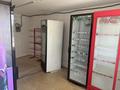 Магазины и бутики · 55 м² за 350 000 ₸ в Астане, Сарыарка р-н — фото 2