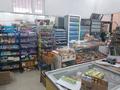 Магазины и бутики • 172 м² за 110 млн 〒 в Астане, Сарыарка р-н — фото 10