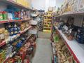 Магазины и бутики • 172 м² за 110 млн 〒 в Астане, Сарыарка р-н — фото 6