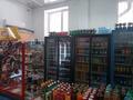 Магазины и бутики • 172 м² за 110 млн 〒 в Астане, Сарыарка р-н — фото 9