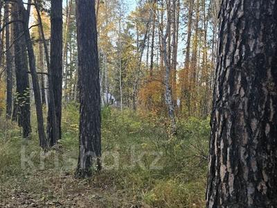 Продажа участков в Акмолинской обл.: Участок · 10 соток, Заречный за 2.5 млн 〒 Участок · 10 соток, Заречный за 2.5 млн 〒 в Щучинске
