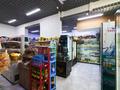 Магазины и бутики · 105.1 м² за 135 млн ₸ в Астане, Сарайшык р-н — фото 6
