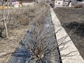 Дача · 1 комната · 10 м² · 10 сот., Рассвет 1 36 — На выезде в сторону Усть-Каменогорска 2 - я остановка за 400 000 ₸ в Алтае — фото 6