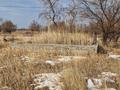 Жер телімі · 10 сотық, Қалықов Бекен 273, бағасы: 4.5 млн ₸ в Нура — фото 10