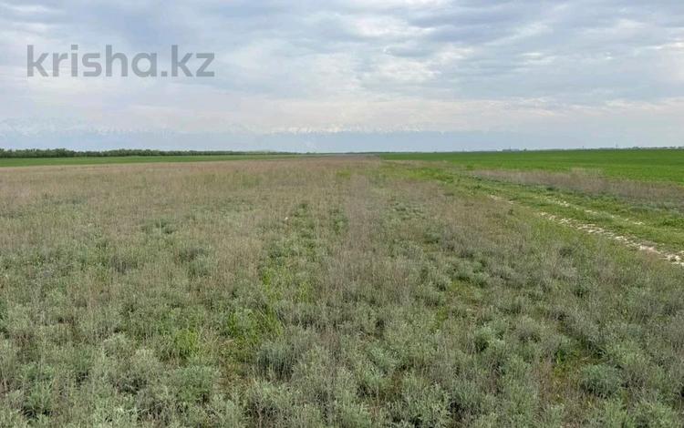 Участок · 500 соток, Киши Байсерке за 45 млн ₸ — фото 2