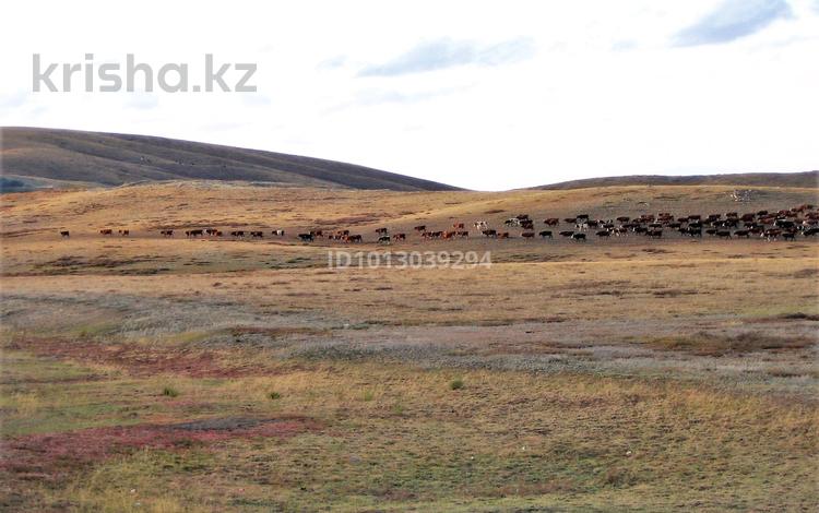 КФХ · 1100 м² за 40 млн ₸ в Каркаралинске — фото 2