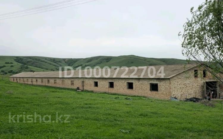 Сельское хозяйство · 20000 м² за 40 млн ₸ в Шымкенте — фото 2