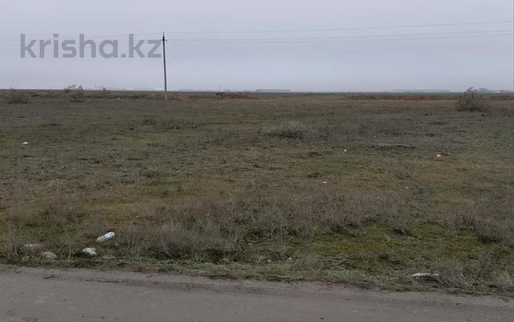 Жер телімі · 1 га, Алатау, бағасы: ~ 1.6 млн ₸ — фото 9