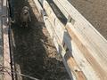 Жер телімі · 851 га, Трасса Алматы Астана — Сокол, Сорбулак, бағасы: 320 млн ₸ в Алматинской обл. — фото 36