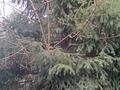 Дача · 4 комнаты · 80 м² · 12 сот., 1 линия 126 — ПКСТ Кировец-37. дачи на Есикском повороте за 11 млн ₸ — фото 26