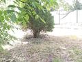 Дача · 4 комнаты · 80 м² · 12 сот., 1 линия 126 — ПКСТ Кировец-37. дачи на Есикском повороте за 11 млн ₸ — фото 8