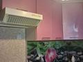1-бөлмелі пәтер · 33 м² · 2/5 қабат, Пушкин 24 — Небольшой торг., бағасы: ~ 11.7 млн ₸ в Кокшетау — фото 4