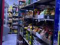 Магазины и бутики · 60 м² за 53 млн ₸ в Алматы, Наурызбайский р-н — фото 12