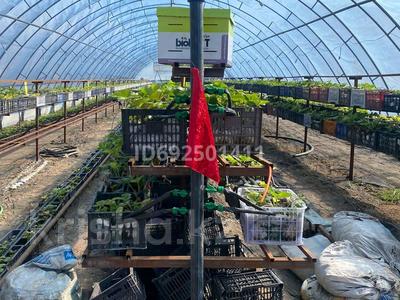 Сельское хозяйство • 500 м² за 10 млн 〒 в Шамалгане