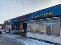 Еркін · 300 м², бағасы: 100 млн ₸ в Шымкенте, Туран р-н