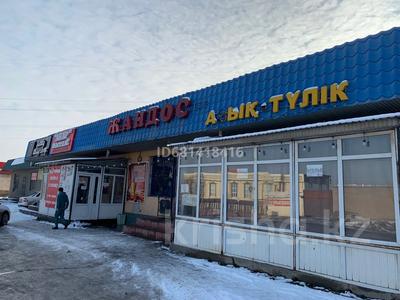 Свободное назначение · 300 м² за 100 млн ₸ в Шымкенте, Туран р-н