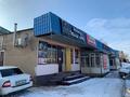 Еркін · 300 м², бағасы: 100 млн ₸ в Шымкенте, Туран р-н — фото 2