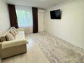 1-комнатная квартира · 36.7 м² · 1/6 этаж, Косшыгулулы 22/1 — Косшыгулулы- Бейсекова за 17.5 млн ₸ в Астане, Сарыарка р-н — фото 15