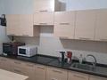 1-бөлмелі пәтер · 50 м² · 13/13 қабат, Навои 210/1-3, бағасы: 300 000 ₸ в Алматы, Бостандыкский р-н — фото 12