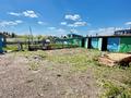 Отдельный дом · 3 комнаты · 60 м² · 25 сот., Целинная за 12.5 млн ₸ в Макинске — фото 19