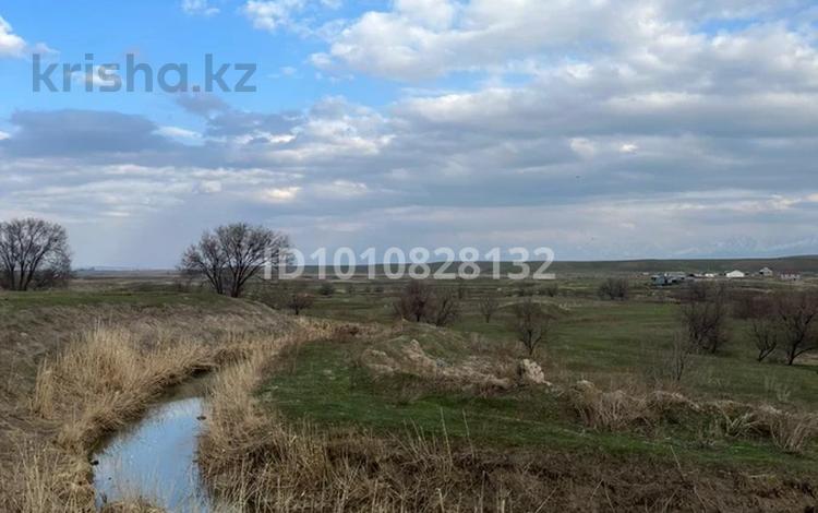 Участок · 50 соток, Турар за 8 млн ₸ — фото 2