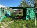 Дача • 50 м² • , Зеленый лог за 3.5 млн 〒 в Усть-Каменогорске — фото 7