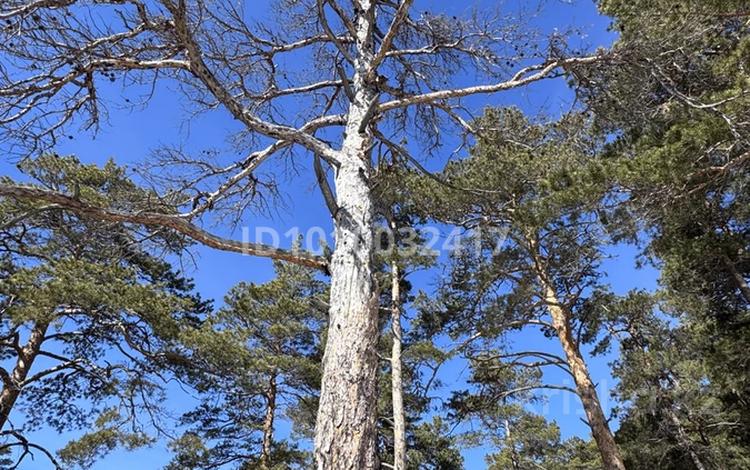Участок · 10 соток, К. мусабаева 4 за 12 млн ₸ в Бурабае — фото 3
