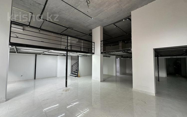 Еркін · 220 м², бағасы: 1.3 млн ₸ в Астане, Нура р-н — фото 4