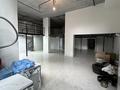 Еркін · 220 м², бағасы: 1.3 млн ₸ в Астане, Нура р-н — фото 6