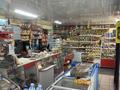 Магазины и бутики · 120 м² за 32 млн ₸ в Усть-Каменогорске, Ульбинский — фото 3