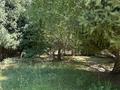 Отдельный дом · 5 комнат · 200 м² · 250 сот., Байгабылова 6 за 70 млн ₸ в Жалагаш — фото 13