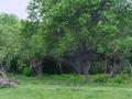 Участок · 1 га, Алдабергенова 12 за 35 млн ₸ в Карабулаке — фото 6