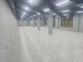 Еркін · 1050 м², бағасы: 4.2 млн ₸ в Шымкенте, Абайский р-н — фото 3