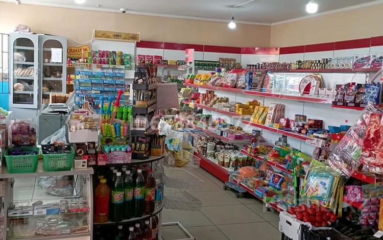 Магазины и бутики • 600 м² за 120 млн 〒 в Шымкенте — фото 2