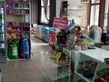 Магазины и бутики • 600 м² за 120 млн 〒 в Шымкенте — фото 17