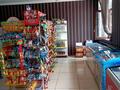 Магазины и бутики • 600 м² за 120 млн 〒 в Шымкенте — фото 5
