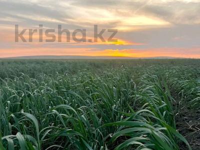 Участок · 4300 га, Междуреченск за ~ 2.2 млрд 〒