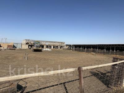 Дача · 2 комнаты · 30 м² · 60 сот., Курайлы за 40 млн ₸ в Арыси