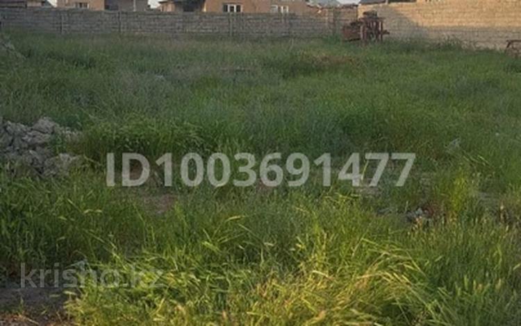 Участок · 8 соток, мкр Ынтымак-2 11 за 16 млн ₸ в Шымкенте, Абайский р-н — фото 4