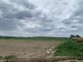 Сельское хозяйство • 80 м² за 67 млн 〒 в Талдыкоргане — фото 17
