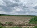 Сельское хозяйство • 80 м² за 67 млн 〒 в Талдыкоргане — фото 15